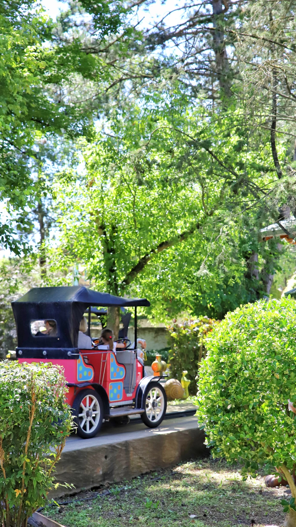 https://www.touroparc.com/wp-content/uploads/2025/05/Touroparc-Zoo-lJade-Perrot-13.webp