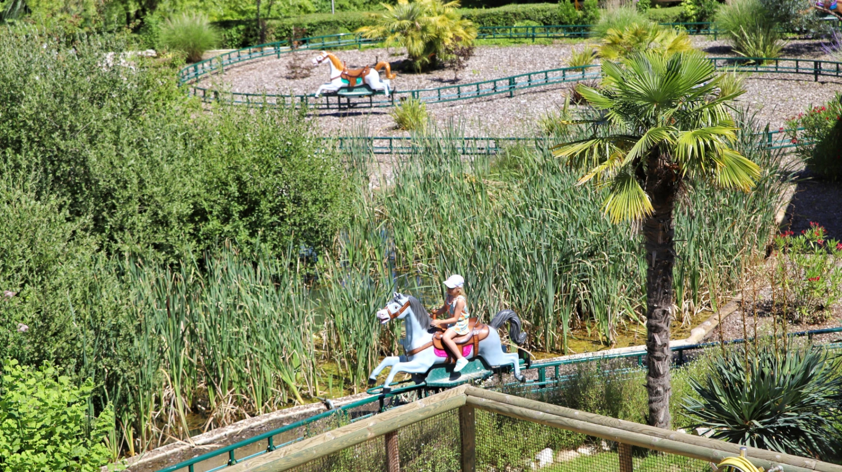 https://www.touroparc.com/wp-content/uploads/2025/05/Touroparc-Zoo-lJade-Perrot-9.webp